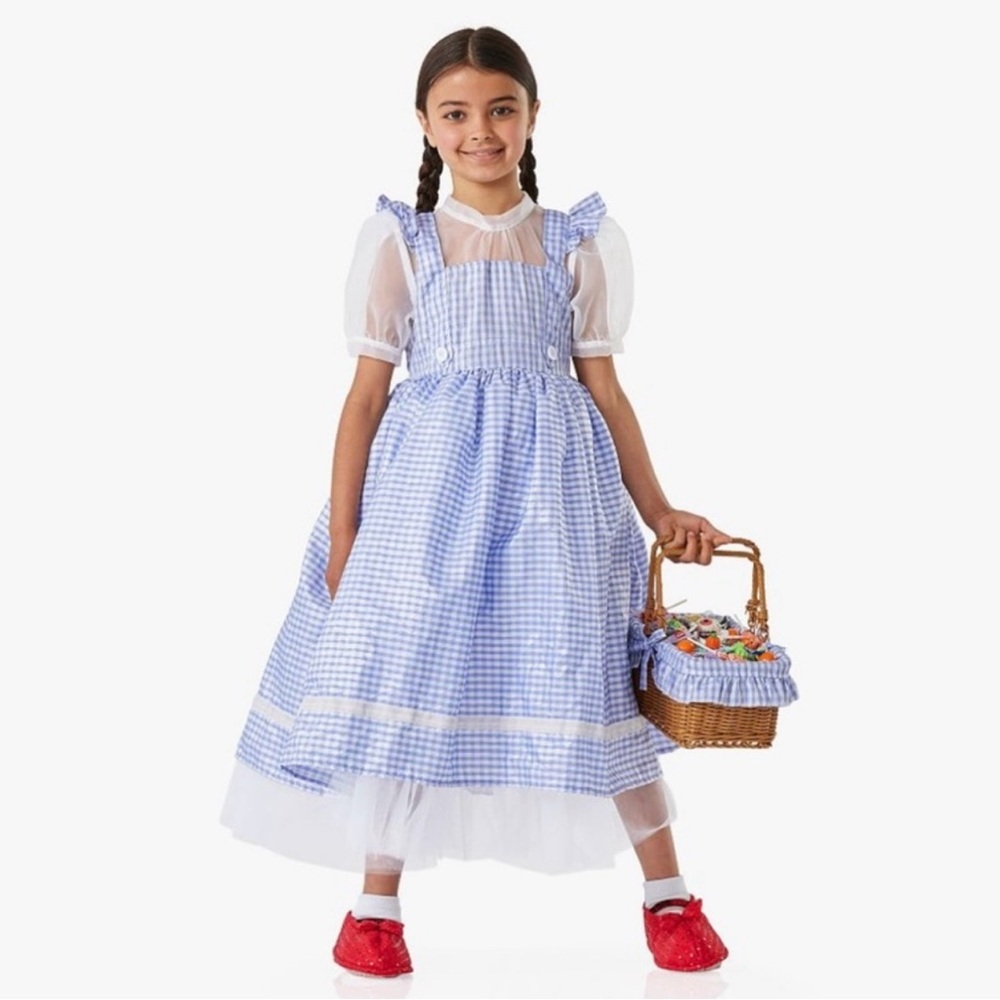 Pottery Barn Kids Dorothy Costume Toddler 3t Excellent Condition w Accessories